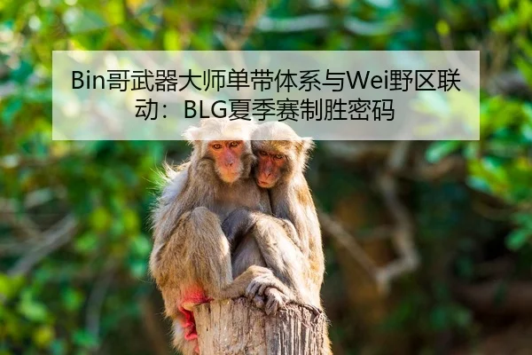 Bin哥武器大师单带体系与Wei野区联动：BLG夏季赛制胜密码