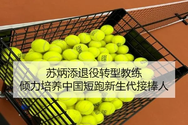 苏炳添退役转型教练 倾力培养中国短跑新生代接棒人