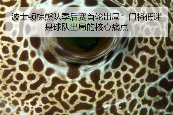 bo-shi-dun-zong-xiong-dui-ji-hou-sai-shou-lun-chu-ju-men-jiang-di-mi-shi-qiu-dui-chu-ju-de-he-xin-tong-dian-2-861.jpg