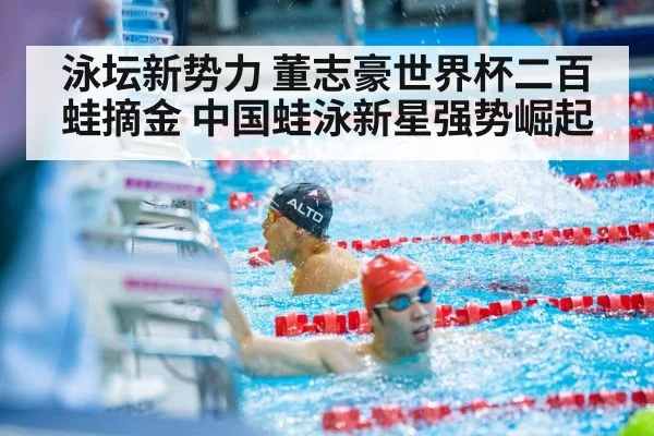 泳坛新势力 董志豪世界杯二百蛙摘金 中国蛙泳新星强势崛起